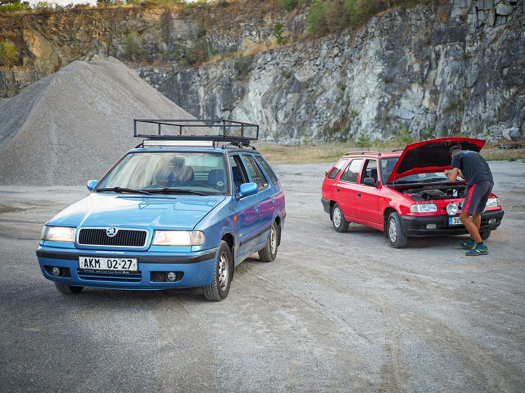 Modrá a červená felicie